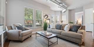Kings Cove Gallery 17