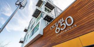 Ocean 650 Gallery 24