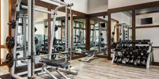 Terrawood Gallery 15