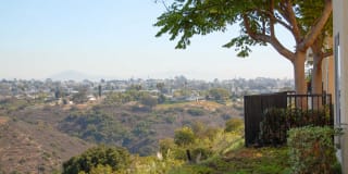 Canyon Ridge Gallery 22