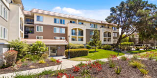 Northpark Gallery 16