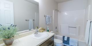 Adriana Court Gallery 18