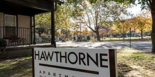 Hawthorne Street Gallery 83