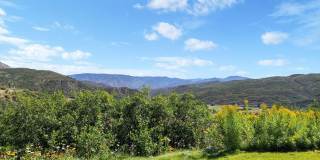 272 Oak Ridge Road Gallery 50