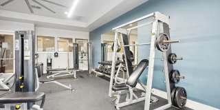 Platinum Shavano Oaks Gallery 14