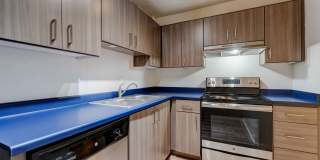 Icon Apartments Gallery 4