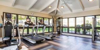 Avana at the Pointe Gallery 22