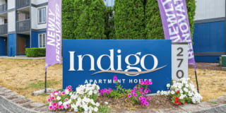 Indigo Gallery 1