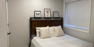 1203 Warrior Way Gallery 7