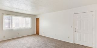 Bellevue Gardens Gallery 18