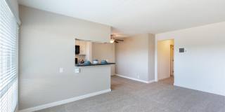 Elan Pacific Lofts Gallery 5