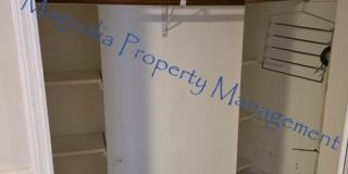 Bear Lake, Altamonte Springs Gallery 15
