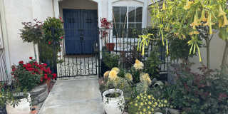 2244 Cannon Gate Gallery 19