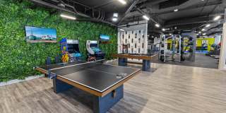 The Access Gallery 13