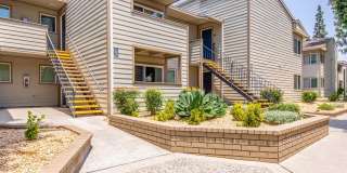 Aspire Rialto Gallery 8