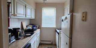 Graduate and Professional Gallery 157