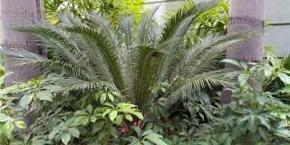 2243 Martin Gallery 28