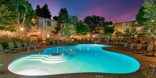 The Meadows Apartment Homes Gallery 14