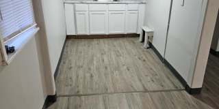 2361 Pierce Street Gallery 2