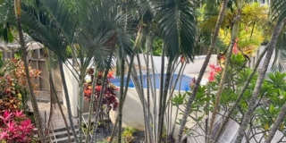 Charming 2BR Condo in Honolulu Gallery 16