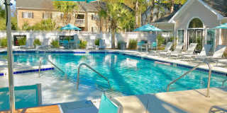 The Lily The Lily Gallery 1