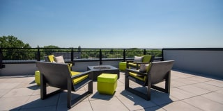 The Grove Gallery 58