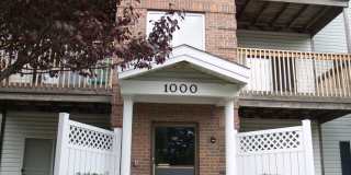 Spruce Pointe Gallery 21