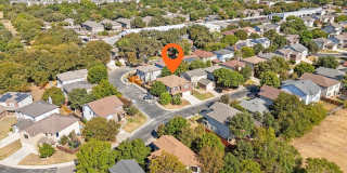 39 Longleaf Coral Gallery 39