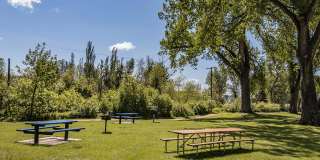Silver Springs Gallery 8