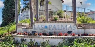 26172 Sanz Gallery 1