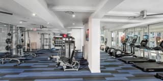 Spectrum on Spring Gallery 7