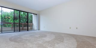 Riviera Vista Apartments Gallery 23