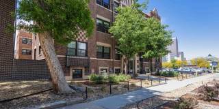 The Norwich Gallery 16