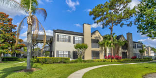 Cypress Run Gallery 12