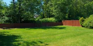 Spacious Renton Rambler w/ a HUGE Backyard! Gallery 10