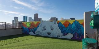 The Douglas Gallery 10
