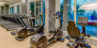 Miami Bay Waterfront Midtown Residences Miami Bay Waterfront Midtown Residences Gallery 20