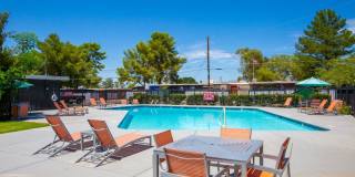 Icon on Stella Gallery 16