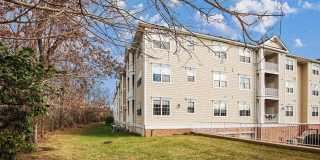 8535 VETERANS HWY #315 Gallery 31