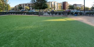 Los Alisos at Mission Viejo Gallery 33