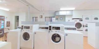 Spacious Studio Apartment in Cleveland Park Gallery 21