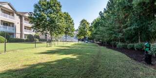 Magnolia at Milton Gallery 23