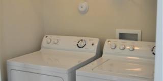 Alexandria Park Gallery 11