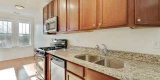 4863-67 N Hermitage Gallery 16