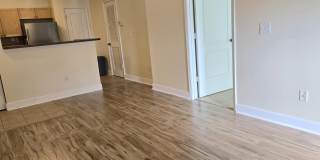 6470 Borasco Drive Gallery 59