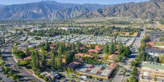 Citrus Place Gallery 73