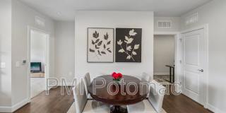 3503 Bellflower Lane Gallery 21