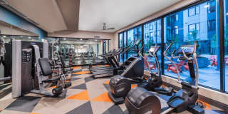 Sandy Lofts Gallery 22