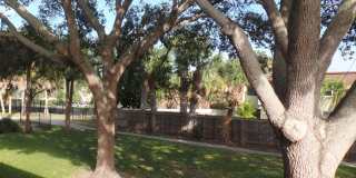 Spacious one-bedroom near Pinellas Trail and Azalea Rec area Spacious one-bedroom near Pinellas Trail and Azalea Rec area Gallery 18