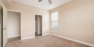 5864 Whitebark Pine Trail Gallery 21